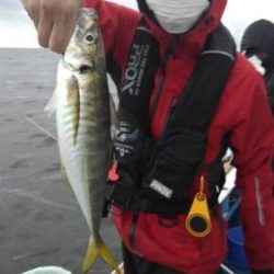 あい川丸 釣果