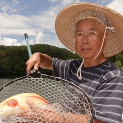 フィッシングレイクたかみや 釣果