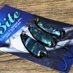 フィッシングレイクたかみや 釣果