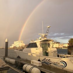 フィッシングボートACE(エース) 釣果