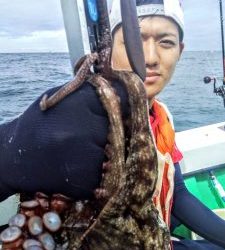 恵比寿丸(兵庫) 釣果