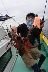 KONAYAーMARU(こなや丸) 釣果