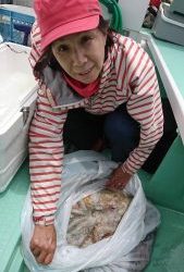 KONAYAーMARU(こなや丸) 釣果