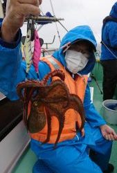 KONAYAーMARU(こなや丸) 釣果