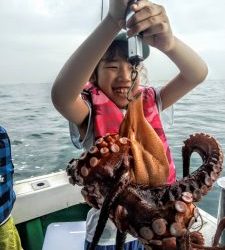 恵比寿丸（兵庫） 釣果