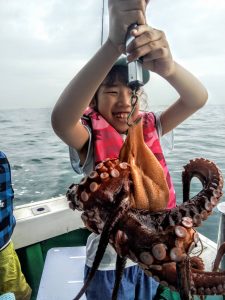 恵比寿丸（兵庫） 釣果