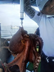 恵比寿丸（兵庫） 釣果