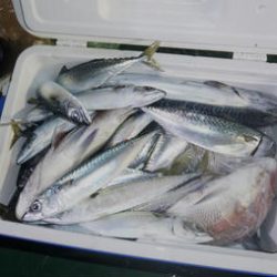 恵陽丸 釣果