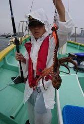 ＫＯＮＡＹＡｰＭＡＲＵ（こなや丸） 釣果