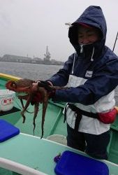 ＫＯＮＡＹＡｰＭＡＲＵ（こなや丸） 釣果