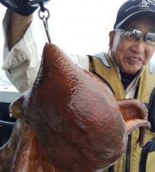 恵比寿丸(兵庫) 釣果