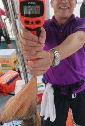 恵比寿丸(兵庫) 釣果