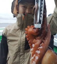 恵比寿丸(兵庫) 釣果