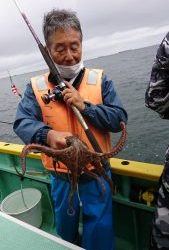 KONAYAーMARU(こなや丸) 釣果