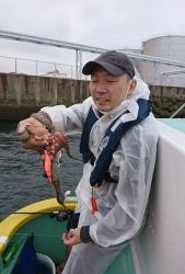 KONAYAーMARU(こなや丸) 釣果