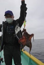 ＫＯＮＡＹＡｰＭＡＲＵ（こなや丸） 釣果