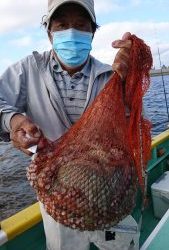 KONAYAーMARU(こなや丸) 釣果