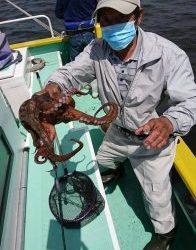 KONAYAーMARU(こなや丸) 釣果