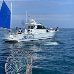 フィッシングボートACE(エース) 釣果