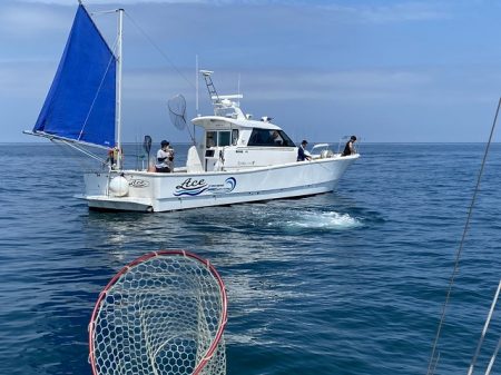 フィッシングボートACE(エース) 釣果