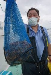 ＫＯＮＡＹＡｰＭＡＲＵ（こなや丸） 釣果