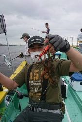 ＫＯＮＡＹＡｰＭＡＲＵ（こなや丸） 釣果