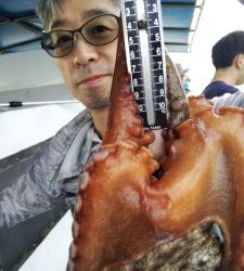 恵比寿丸(兵庫) 釣果