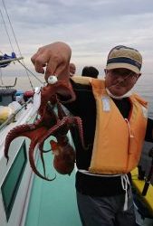 ＫＯＮＡＹＡｰＭＡＲＵ（こなや丸） 釣果