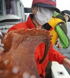 恵比寿丸(兵庫) 釣果