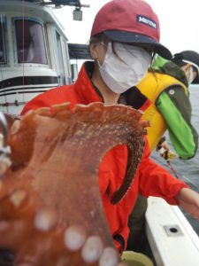 恵比寿丸(兵庫) 釣果