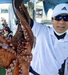 恵比寿丸(兵庫) 釣果