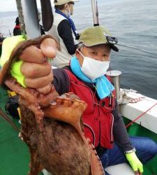 恵比寿丸(兵庫) 釣果