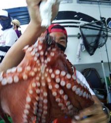 恵比寿丸(兵庫) 釣果