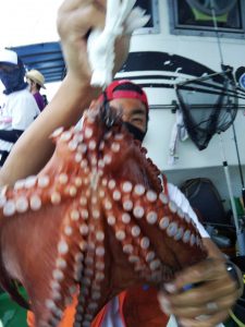 恵比寿丸(兵庫) 釣果