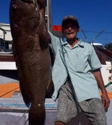 フィッシング太陽 釣果