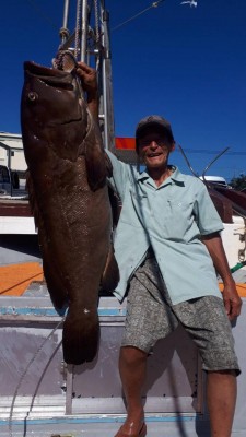 フィッシング太陽 釣果