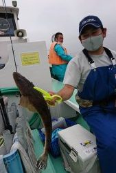 KONAYAーMARU(こなや丸) 釣果