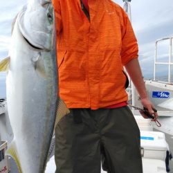 遊漁船 新鋭丸 釣果