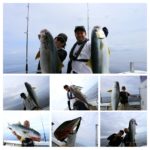 ＶＥＲＴＩＣＡＬ 釣果