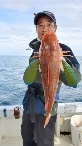 遊漁船 ニライカナイ 釣果
