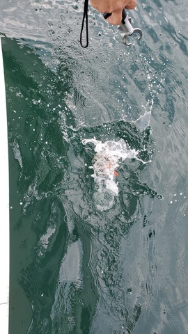 遊漁船　ニライカナイ 釣果