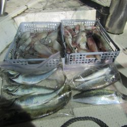 ジギング船 BLUEWATER 釣果