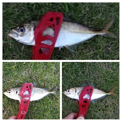 アジング1805〜1915