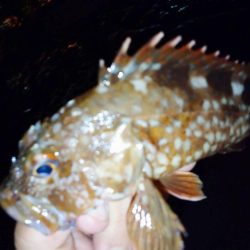 八雲で良型ゲット!!