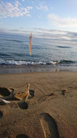 こんな日もあんだな。。