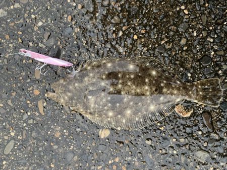 ビギナーが子座布団ＧＥＴ