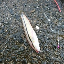 思わぬ強烈なアタリに対応出来ず…