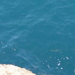 8か月ぶりの釣果