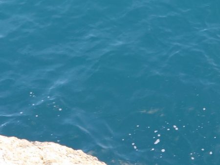 8か月ぶりの釣果