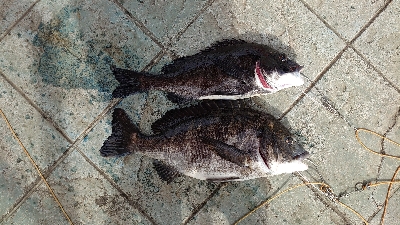 ラッキーヒット